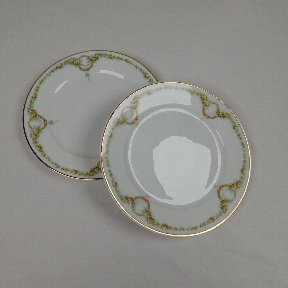 Lot of 2 Rosenthal Continental Briar Rose Fine China 6" Bread Butter Plate Vtg